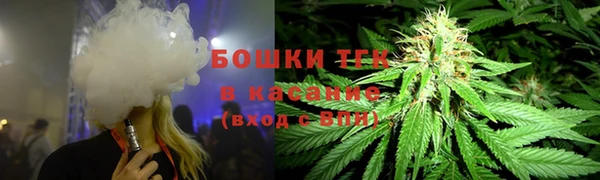 гашик Вязники