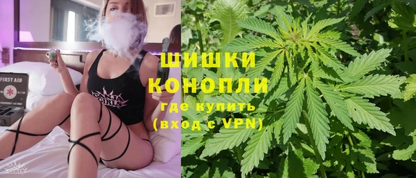 эйфоретик Горняк
