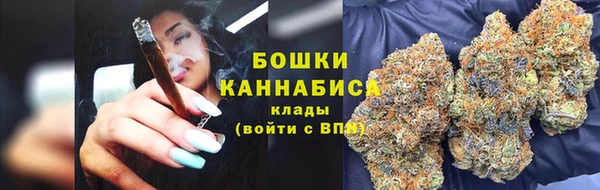 дурь Горно-Алтайск
