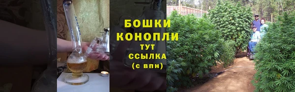 дурь Горно-Алтайск