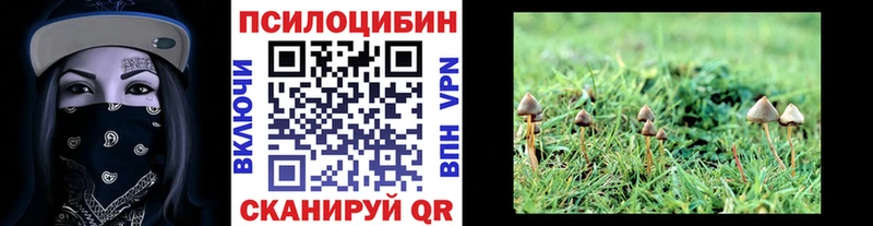 Псилоцибиновые грибы Cubensis  Харовск 